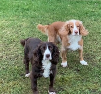 Siff med sin mor Rulle